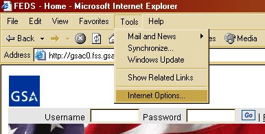 Internet Explorer 6 Option Image