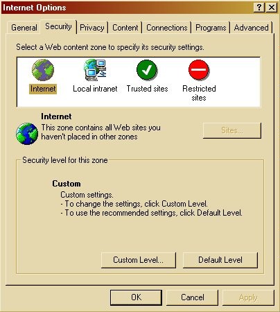 Internet Explorer 6 Security Tab