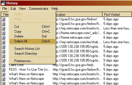 Netscape Navigator 4 Edit>Preferences Menu Image